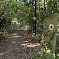 The path is wooded, shaded by the trees in the first half of the walk.