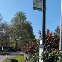 141 bus stop Hall Lane Papplewick