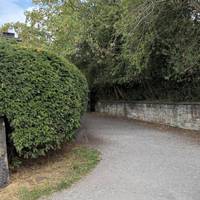 Follow the path between the hedge and the wall to make your way into Childwall Woods.