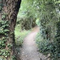 There are some wooded areas like this but this section is mostly in the open besides meadows.