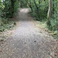 Continue all the way up the hill!
