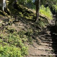 Walk up the steps to towards the view point