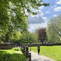 With your back to Newgate, enter Castle Park and head on the tarmac path ahead through this beautiful green space and towards the harbour.