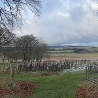 Go through the next gate on your left. There is a mown path around the field, depending on the time of year.