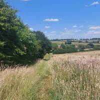 Follow the waymarked grass path downhill.