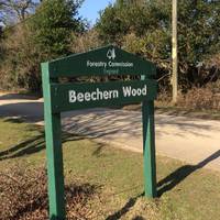 We all enjoy a good pub walk, starting at Beechern Wood in Brockenhurst 