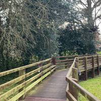 On your left will be a wooden footbridge. Turn left onto it & continue through the trees.