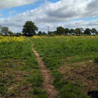 Walk along the track until the track bears around to the left. Turn right to walk over the fields.