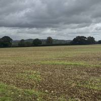 Open fields