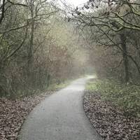 I walk this path in all weathers and seasons and never get bored of it. It never gets too busy even in the holidays. 