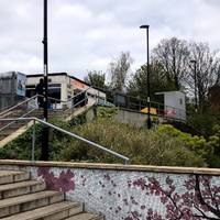 Start at Brockley Station, check out the cherry blossom mosaic at the bottom of the steps, our first piece of outdoor art.