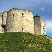 Nestled between the river Foss and the Ouse you’ll find Clifford's Tower. In the spring the little first hillock is full of daffodils.