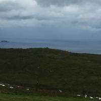 Approx 1 mile on the Murlough road park in the first car park on the left. 