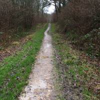 Follow the path straight ahead