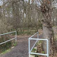 To the right of the entrance of the sports centre will be a path taking you into College Woods.