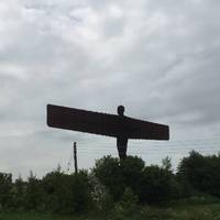The Angel is located off A1 to the south of Newcastle. 