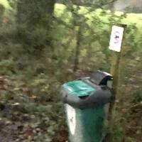 Dog-walkers: it’s worth taking note of this convenient dog-poo bin near the start/end of the walk.