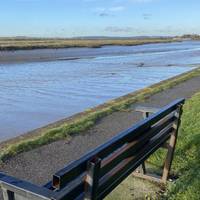 We’ll spend the first half of our walk along salt marshes. The Thames Estuary is one of the most important sites for water birds globally.