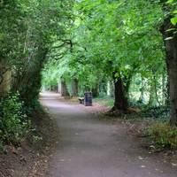 Continue following the path. It is firm underfoot & lined with trees & benches.