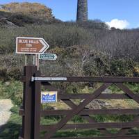 After the hairpin bend you’ll get to the sign for Blue Hills Tin Mine. Take the public footpath signed to Barkla Shop.