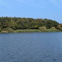 A lovely walk around the lake with lots of wildfowl, dragonflies &  birds