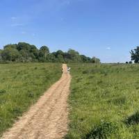 You'll shortly emerge in a field. Head across on the obvious earth path. This is part of the 9000 acre Fonthill Estate.
