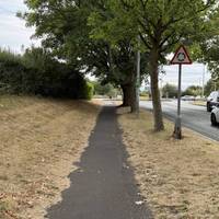 Follow the pavement beneath the trees.