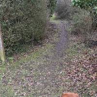 Turn right down Blakings lane, alongside the crump. An 11th Century lane and the former TV home of “Lovejoy” in the 1980s.!