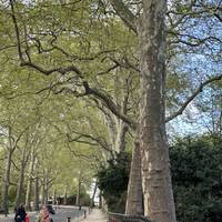 As you being to walk, take a right and walk down the path.