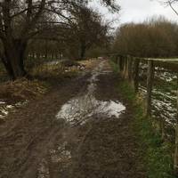 Go through the footpath gate and back to following the stream towards Upper Slaughter