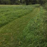 The path emerges onto a golf course - continue keeping the hedge/trees on your right - path is clearly marked when mown in summer