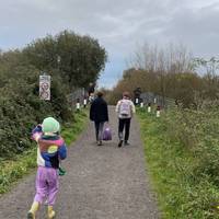 At the path junction, head right uphill to a bridge.