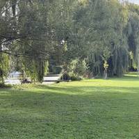 This open grassy area is lined with trees. The road can still be used. It then narrows as the river bends.