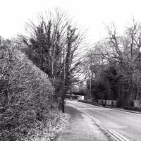 Walk along Clatterbridge Road for a few hundred meters