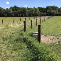 Follow the public footpath as you cross through this private estate heading for Pakenham Wood.