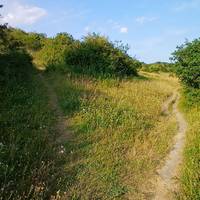 Keep following the path