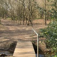 You’ll soon arrive at a wooden footbridge with a metal hand rail on the left. Head across here to continue.
