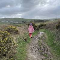 Be prepared for a muddy SWCP in winter. This was Feb and it wasn't too bad - just the odd section with very wet, thick mud.