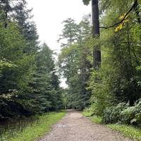 The path was wider here and muddier so take care underfoot.