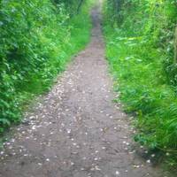 Walk along the river Frome until a pathway on your left. Head up here until you reach a track