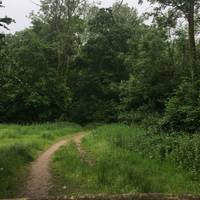 As you leave your car and enter through the gate, the path into the woods is inviting you in.