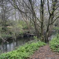 The footpath runs alongside the river