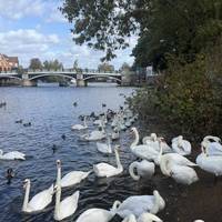 Head down from the town towards the river front. It’s often busy with tourists but we’ll soon leave them behind. Walk to the bridge.