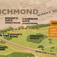 Tamsin Trail, Richmond Park.           An 11.7km / 7.35ml walk through trees along a shared pedestrian/cyclist path