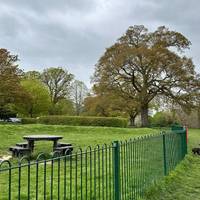 Welcome to this short, circular walk around Chantry Park.