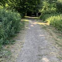 Go through the gate and head up the shallow hill