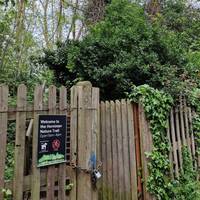 Here you'll find access to the Horniman Nature Trail along a disused railway line