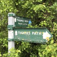 At the boundary of the second field you should find a Thames Path sign, when you do take a right.
