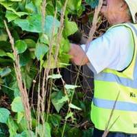 See the station garden planted by Energy Garden and the Kew Society, and chat to the volunteers who are dedicated to looking after it