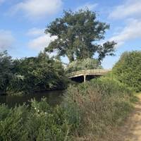 There are fields on the right and an island left. A bridge leads across the river to Sutton Courtenay where the river meanders to the south.